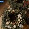 6 Pcs 10 Inch Natural Grapevine Wreaths frame, Vine Branch Wreath, Rattan Wreath for DIY Craft, Front Door Wall Hanging, Wedding and Party Decors